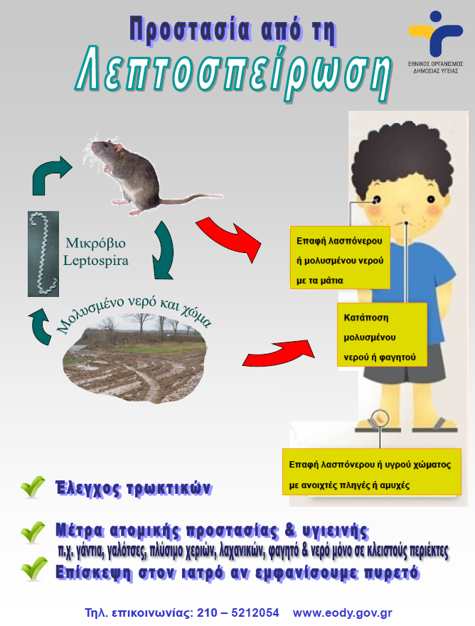 https://eody.gov.gr/wp-content/uploads/2019/01/leptospirosis-afisa.png